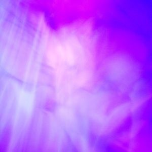 Meet your Posher, Kai